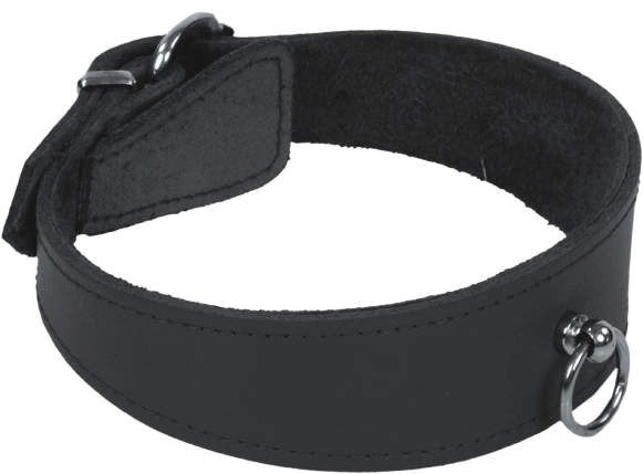 Schwarzes Rindslederhalsband gefüttert mit sichtbarem O-Ring und Schnallenverschluss
