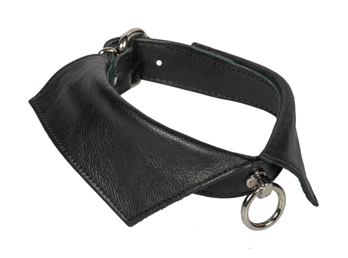 Halsband mit Kragen aus Echtleder bei pm-bodyleather.de