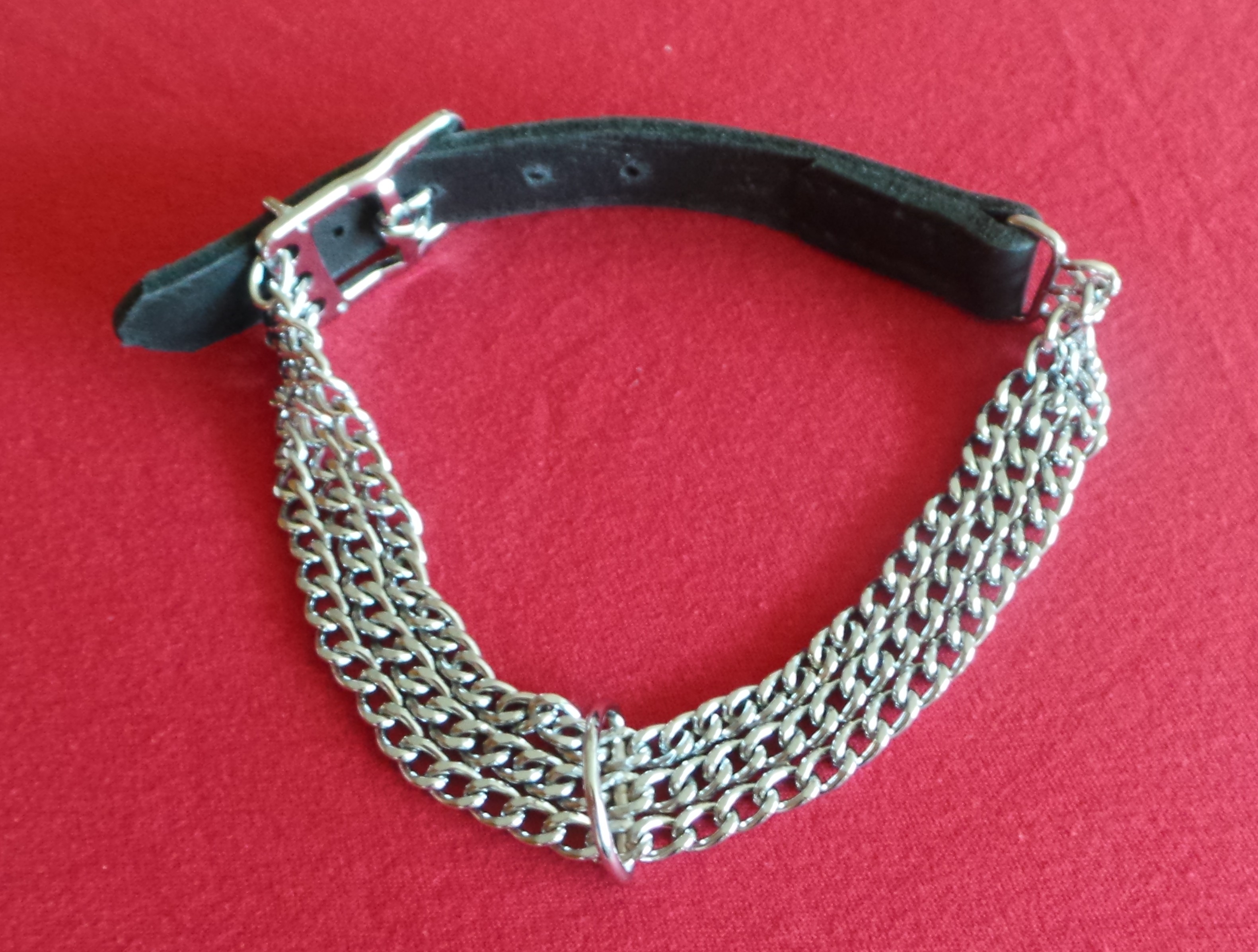 Halsband mit Kette