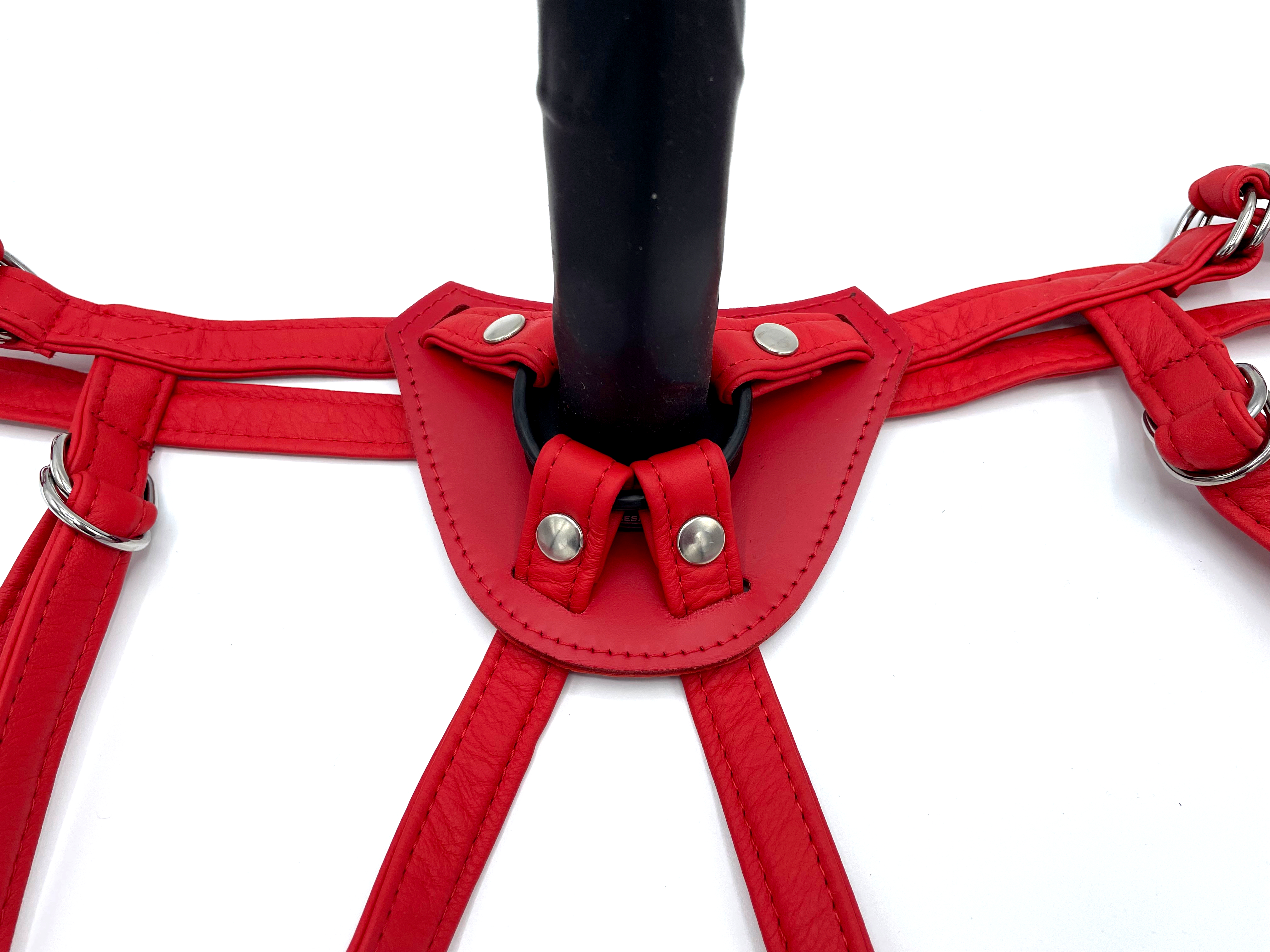 Anwendungsbeispiel Dildo Harness in rot mit Dildo in schwarz