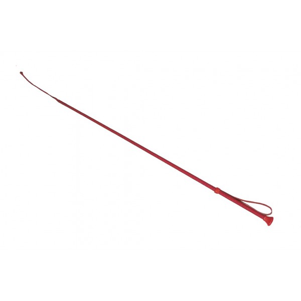 rote Gerte mit Bänzel
