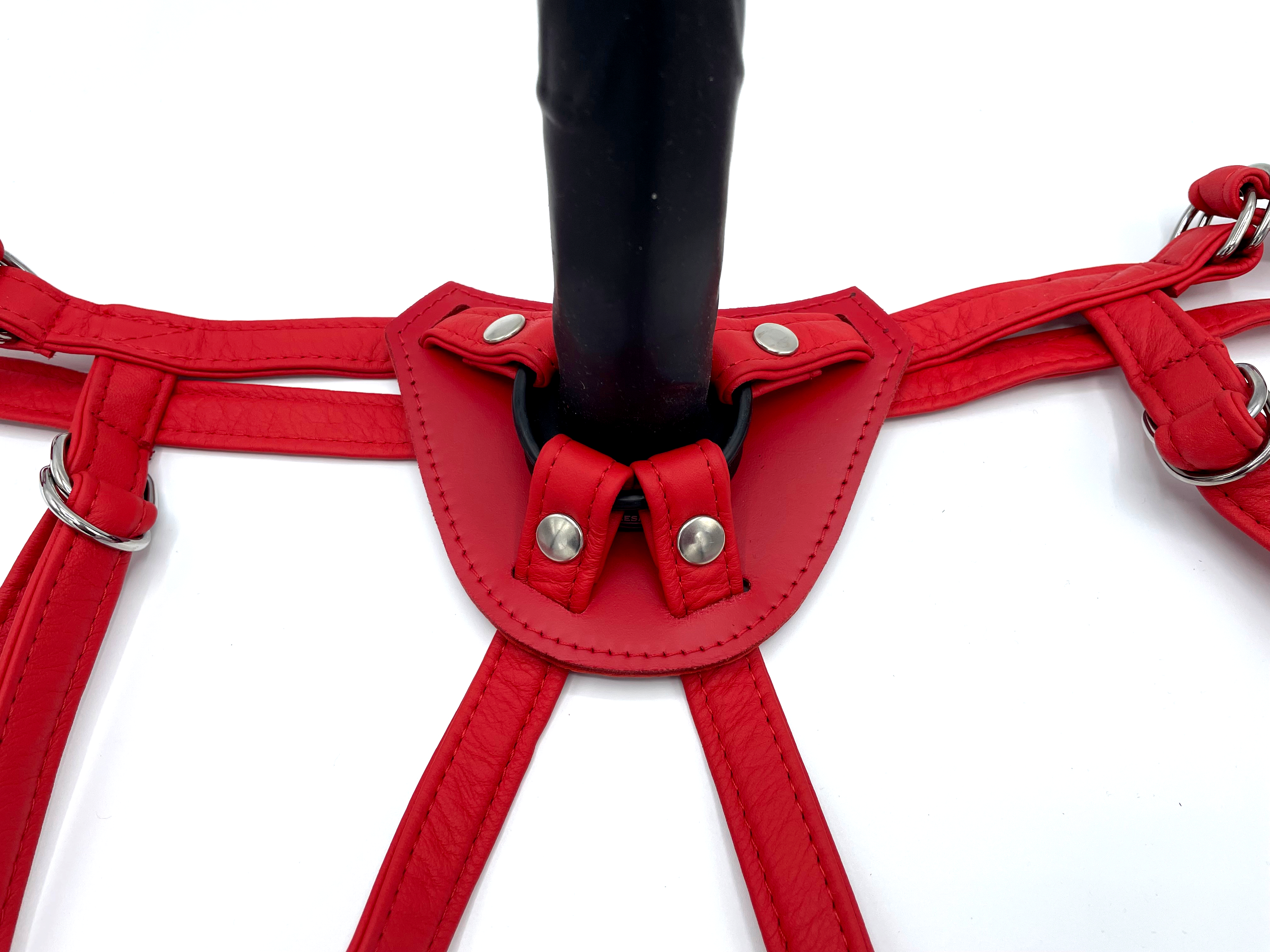 Dildo Harness Anwendungsbeispiel in rot mit weisem Hintergrund