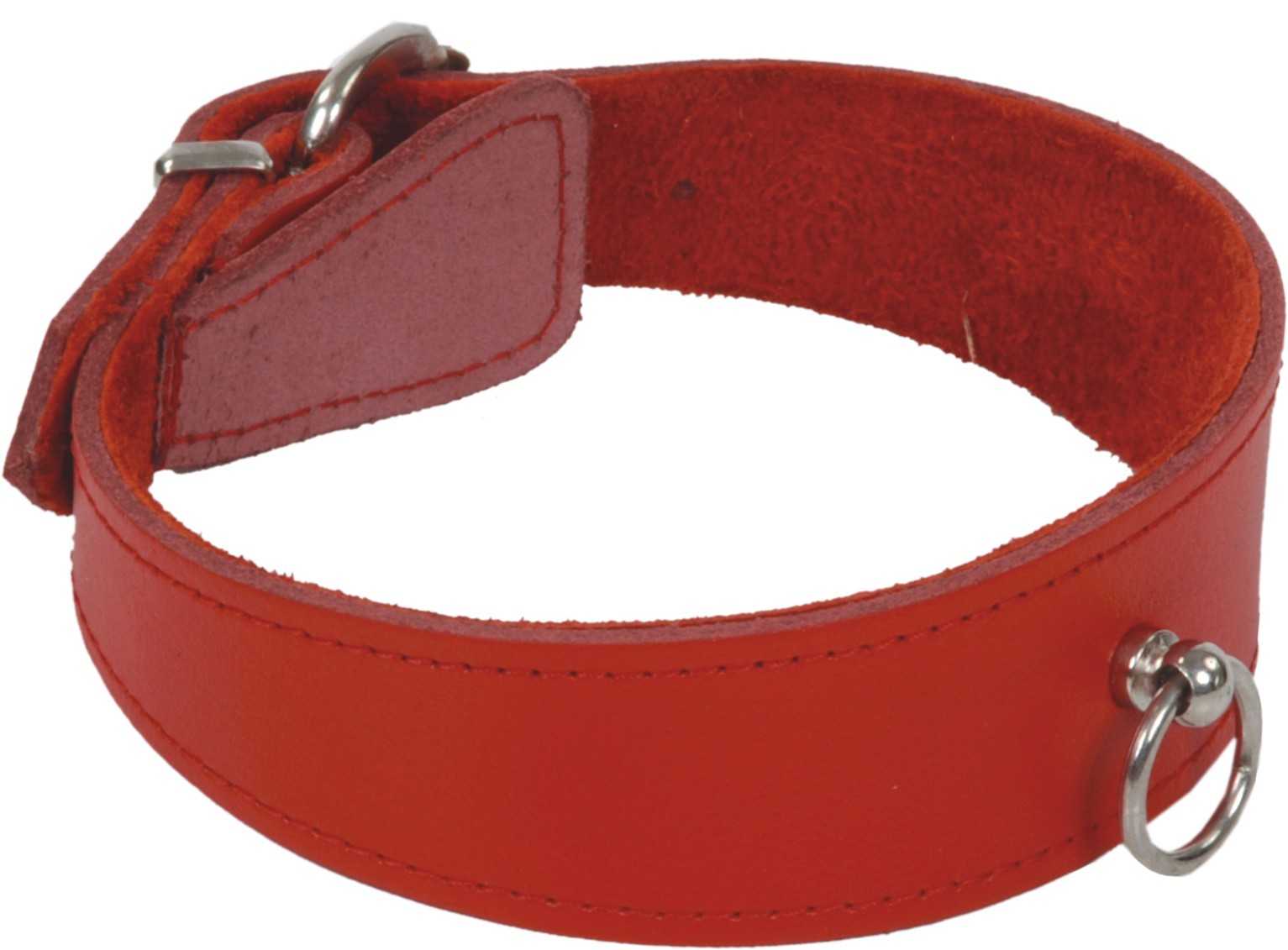 Halsband mit Ring der O seitlich als Freisteller