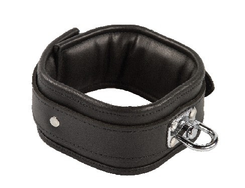 Schwarzes Wirbelhalsband als Freisteller
